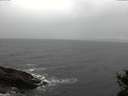 ./images/koeye/fitz-hugh/20141103/fitz-hugh20141103_155503.jpg