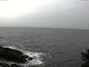 ./images/koeye/fitz-hugh/20141103/fitz-hugh20141103_160002.jpg