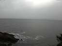 ./images/koeye/fitz-hugh/20141103/fitz-hugh20141103_161003.jpg