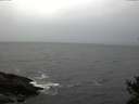 ./images/koeye/fitz-hugh/20141103/fitz-hugh20141103_162502.jpg