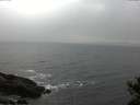./images/koeye/fitz-hugh/20141103/fitz-hugh20141103_163502.jpg