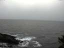 ./images/koeye/fitz-hugh/20141103/fitz-hugh20141103_164002.jpg
