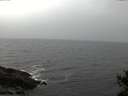 ./images/koeye/fitz-hugh/20141103/fitz-hugh20141103_164503.jpg