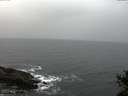 ./images/koeye/fitz-hugh/20141103/fitz-hugh20141103_165002.jpg
