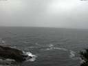./images/koeye/fitz-hugh/20141103/fitz-hugh20141103_171501.jpg