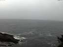 ./images/koeye/fitz-hugh/20141103/fitz-hugh20141103_172002.jpg