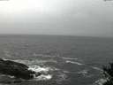 ./images/koeye/fitz-hugh/20141103/fitz-hugh20141103_173501.jpg