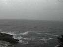 ./images/koeye/fitz-hugh/20141103/fitz-hugh20141103_174002.jpg