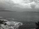 ./images/koeye/fitz-hugh/20141104/fitz-hugh20141104_065002.jpg