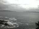 ./images/koeye/fitz-hugh/20141104/fitz-hugh20141104_065503.jpg