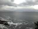 ./images/koeye/fitz-hugh/20141104/fitz-hugh20141104_070502.jpg
