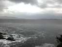 ./images/koeye/fitz-hugh/20141104/fitz-hugh20141104_071002.jpg