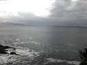./images/koeye/fitz-hugh/20141104/fitz-hugh20141104_072002.jpg