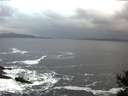 ./images/koeye/fitz-hugh/20141104/fitz-hugh20141104_073503.jpg