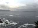 ./images/koeye/fitz-hugh/20141104/fitz-hugh20141104_075002.jpg