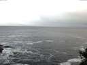 ./images/koeye/fitz-hugh/20141104/fitz-hugh20141104_080502.jpg