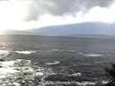 ./images/koeye/fitz-hugh/20141104/fitz-hugh20141104_082003.jpg