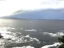 ./images/koeye/fitz-hugh/20141104/fitz-hugh20141104_082502.jpg