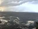 ./images/koeye/fitz-hugh/20141104/fitz-hugh20141104_083502.jpg
