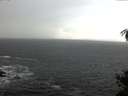 ./images/koeye/fitz-hugh/20141104/fitz-hugh20141104_084502.jpg