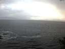 ./images/koeye/fitz-hugh/20141104/fitz-hugh20141104_085501.jpg
