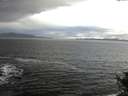 ./images/koeye/fitz-hugh/20141104/fitz-hugh20141104_091002.jpg