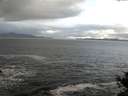 ./images/koeye/fitz-hugh/20141104/fitz-hugh20141104_091502.jpg