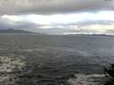 ./images/koeye/fitz-hugh/20141104/fitz-hugh20141104_092002.jpg
