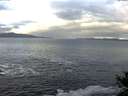 ./images/koeye/fitz-hugh/20141104/fitz-hugh20141104_093503.jpg