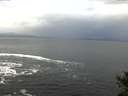 ./images/koeye/fitz-hugh/20141104/fitz-hugh20141104_095502.jpg