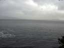 ./images/koeye/fitz-hugh/20141104/fitz-hugh20141104_103502.jpg