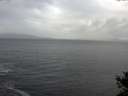 ./images/koeye/fitz-hugh/20141104/fitz-hugh20141104_104002.jpg