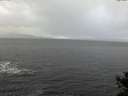 ./images/koeye/fitz-hugh/20141104/fitz-hugh20141104_105502.jpg