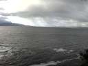 ./images/koeye/fitz-hugh/20141104/fitz-hugh20141104_113502.jpg