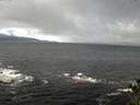 ./images/koeye/fitz-hugh/20141104/fitz-hugh20141104_114002.jpg