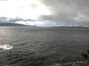 ./images/koeye/fitz-hugh/20141104/fitz-hugh20141104_115002.jpg