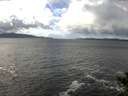 ./images/koeye/fitz-hugh/20141104/fitz-hugh20141104_115503.jpg