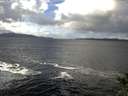 ./images/koeye/fitz-hugh/20141104/fitz-hugh20141104_120003.jpg