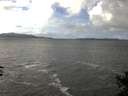 ./images/koeye/fitz-hugh/20141104/fitz-hugh20141104_121002.jpg