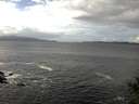 ./images/koeye/fitz-hugh/20141104/fitz-hugh20141104_123502.jpg