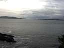 ./images/koeye/fitz-hugh/20141104/fitz-hugh20141104_141002.jpg