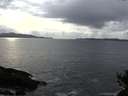 ./images/koeye/fitz-hugh/20141104/fitz-hugh20141104_152501.jpg