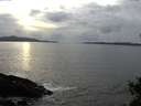 ./images/koeye/fitz-hugh/20141104/fitz-hugh20141104_155001.jpg