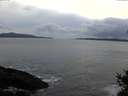 ./images/koeye/fitz-hugh/20141104/fitz-hugh20141104_163502.jpg