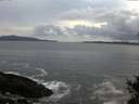 ./images/koeye/fitz-hugh/20141104/fitz-hugh20141104_164503.jpg