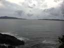 ./images/koeye/fitz-hugh/20141104/fitz-hugh20141104_170503.jpg