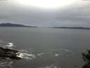 ./images/koeye/fitz-hugh/20141105/fitz-hugh20141105_073501.jpg
