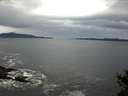 ./images/koeye/fitz-hugh/20141105/fitz-hugh20141105_081003.jpg