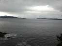 ./images/koeye/fitz-hugh/20141105/fitz-hugh20141105_082503.jpg