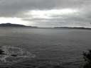 ./images/koeye/fitz-hugh/20141105/fitz-hugh20141105_085002.jpg